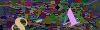 captcha-1748891034