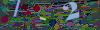 captcha-1749034535