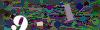 captcha-1749652390