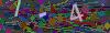 captcha-1749727160