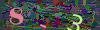 captcha-1750098660