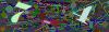 captcha-1750484795