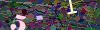 captcha-1752003394
