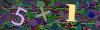captcha-1752513770