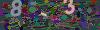 captcha-1752577685