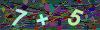 captcha-1752773046