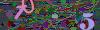 captcha-1752798223