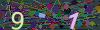 captcha-1752960830