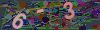 captcha-1752998326