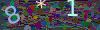 captcha-1754891005