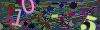 captcha-1754922994