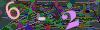 captcha-1755074565