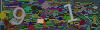 captcha-1777790033