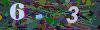 captcha-1777845601