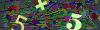 captcha-1777951706