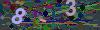 captcha-1778151246
