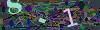 captcha-1778177304