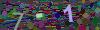 captcha-1778182060