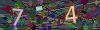 captcha-1778204561