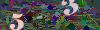 captcha-1778205186