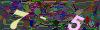 captcha-1778262183