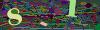 captcha-1778274393