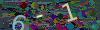 captcha-1778300922