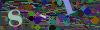 captcha-1778316011