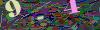 captcha-1778475147