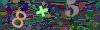 captcha-1778490275