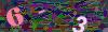 captcha-1778504347