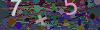 captcha-1778573298