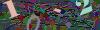 captcha-1778607483