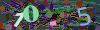 captcha-1778667982