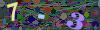 captcha-1778687996