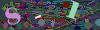 captcha-1778754976