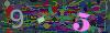 captcha-1778881689