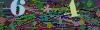 captcha-1778903264