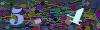 captcha-1778905270