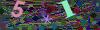 captcha-1778930156