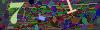 captcha-1778934445