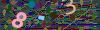 captcha-1778935715