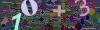 captcha-1778965987