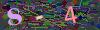 captcha-1778968247