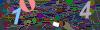 captcha-1779014536