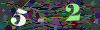 captcha-1779071631