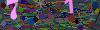 captcha-1779190444