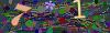 captcha-1779293336