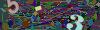 captcha-1779306910