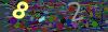 captcha-1779431511